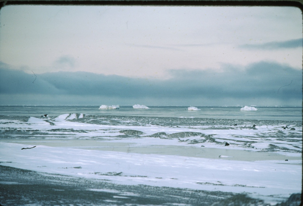 628d24391d1320d9c120eb7a_Small bergs Foxe Basin, early Oct. 1975 Large